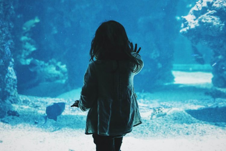 Young Child Facing an Aquarium